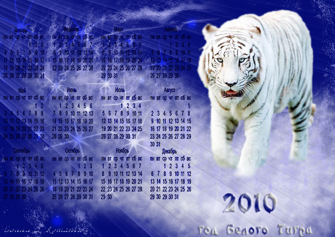 Какой год наступает 22. Календарь тигр. Календарь 2010 год тигра. Календарь год тигра. Белый тигр на календарь.